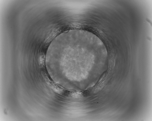 X0000101460576200808041045