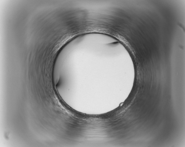 X0000101460577200808041044