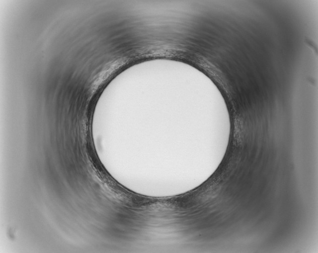 X0000101460578200808041044