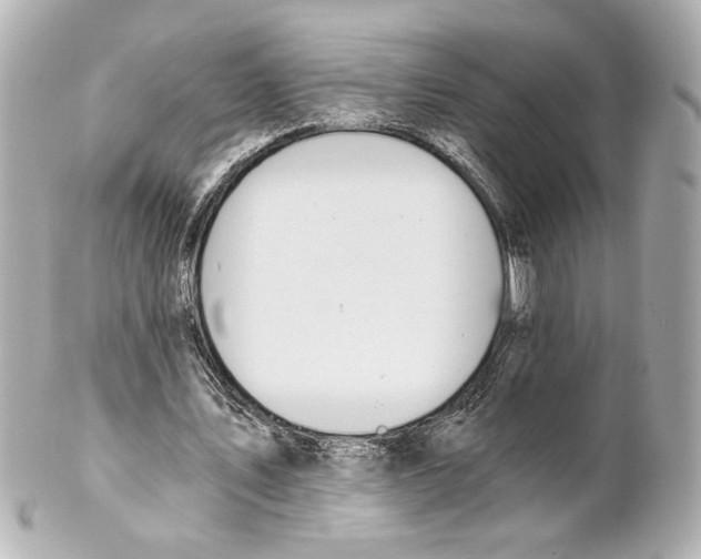 X0000101460579200808041044