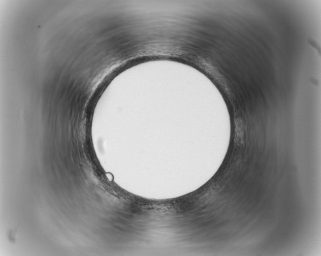 X0000101460580200808041044