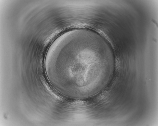 X0000101460581200808041043
