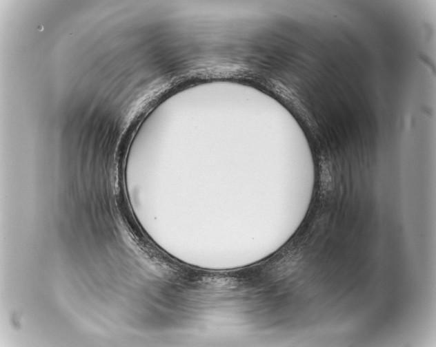 X0000101460582200808041043