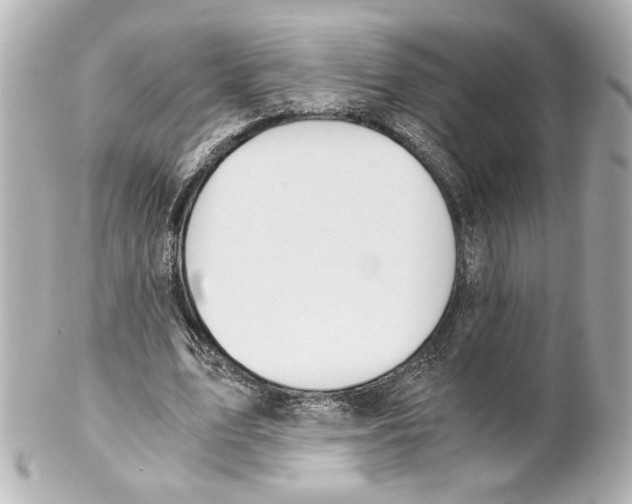 X0000101460583200808041043