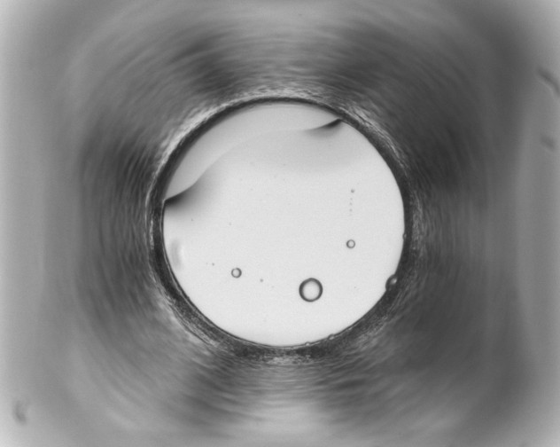 X0000101460584200808041043