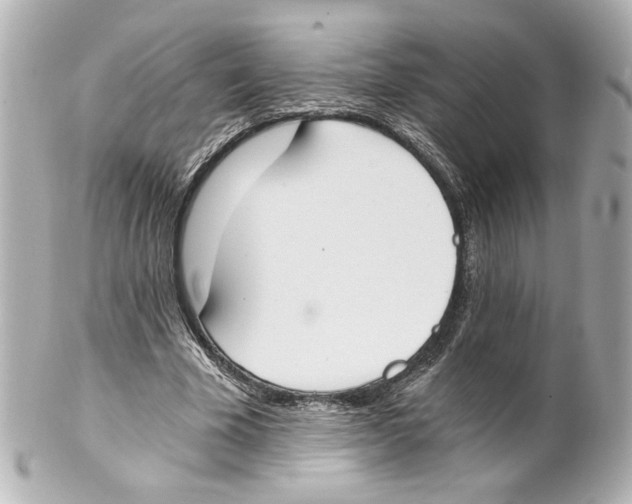 X0000101460585200808041043