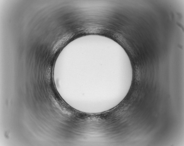 X0000101460586200808041043
