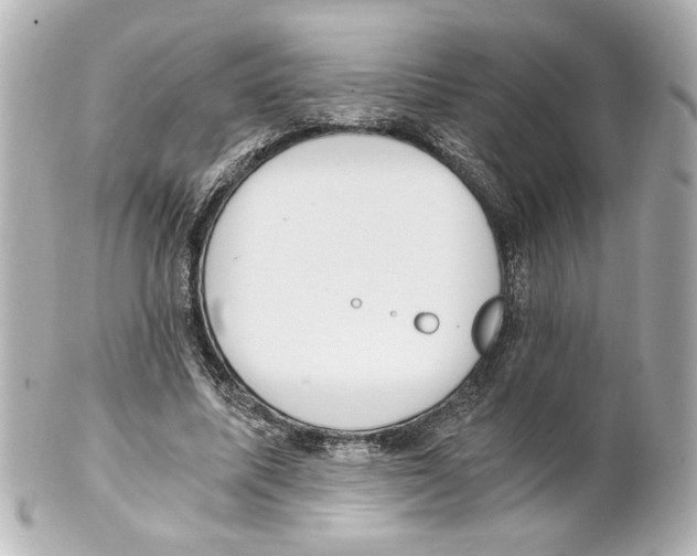 X0000101460587200808041043