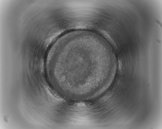 X0000101460588200808041043