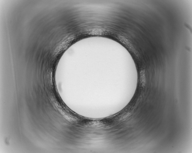 X0000101460589200808041043