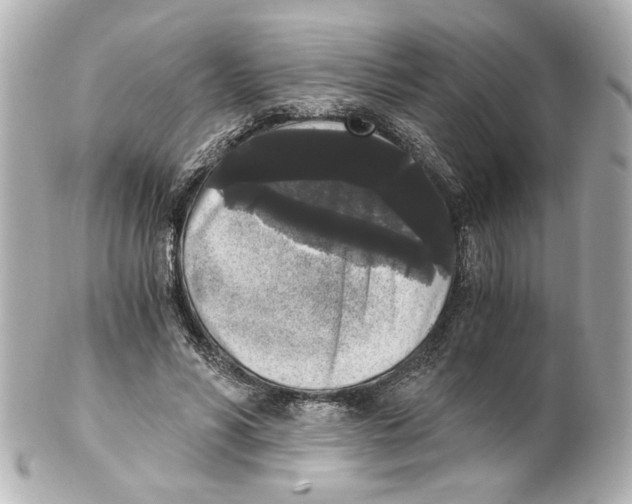 X0000101460590200808041043