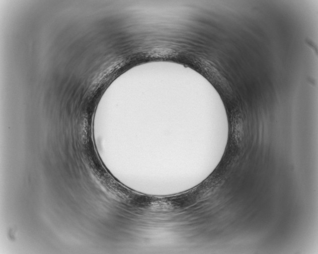 X0000101460591200808041043