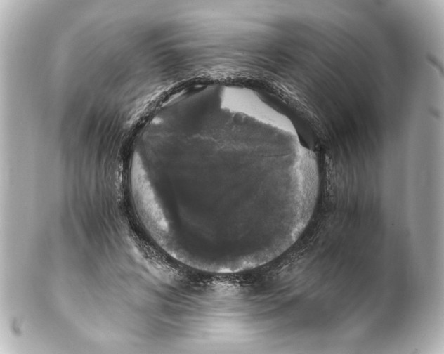 X0000101460592200808041043