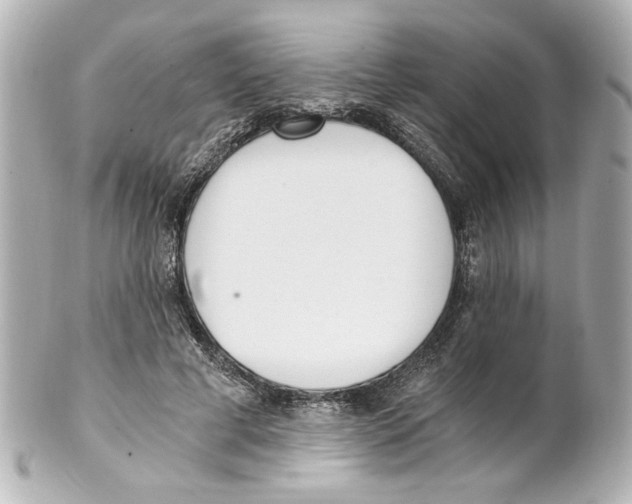 X0000101460593200808041043