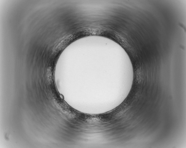 X0000101460594200808041043