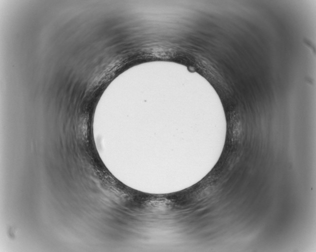 X0000101460595200808041043