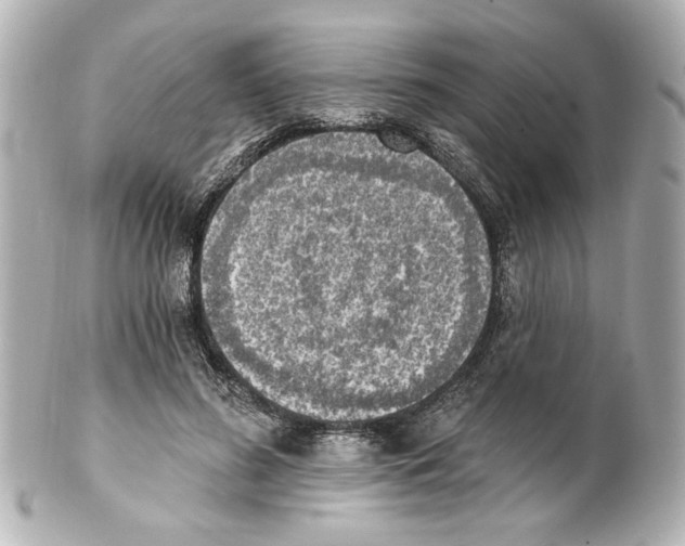 X0000101460596200808041043