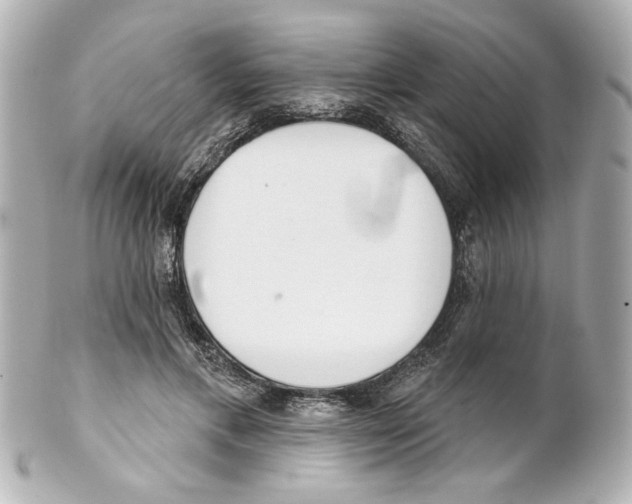 X0000101460597200808041043