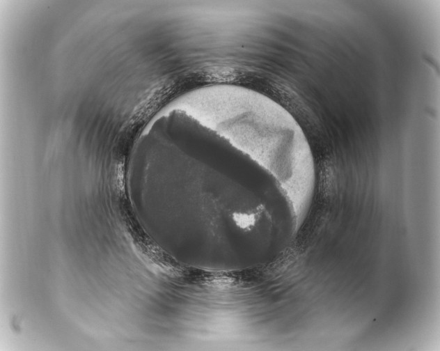 X0000101460598200808041043