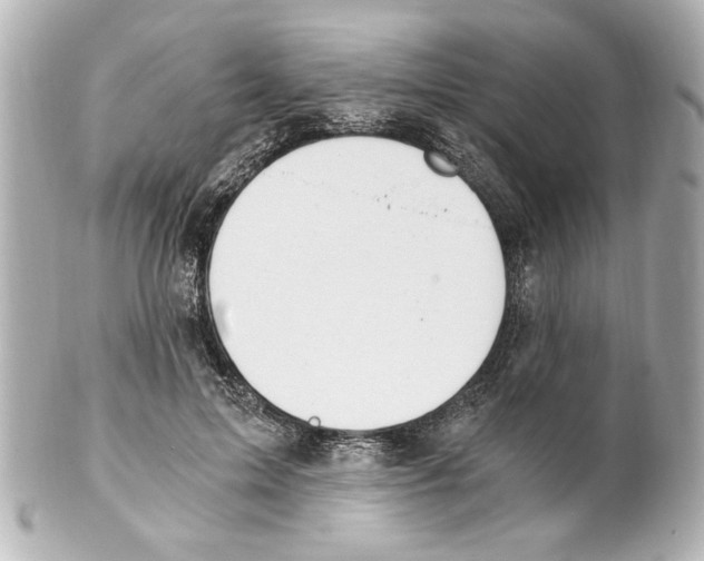 X0000101460599200808041043