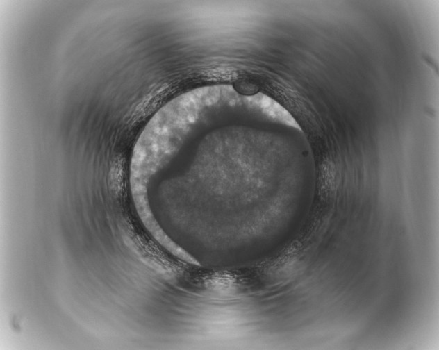 X0000101460600200808041043