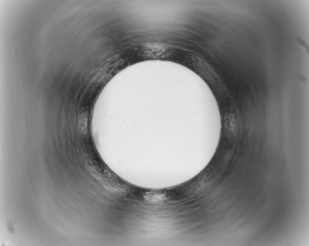 X0000101460602200808041043