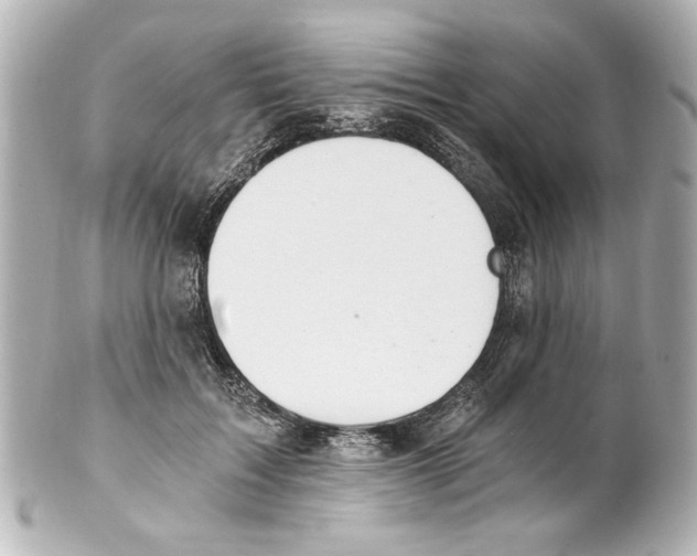 X0000101460603200808041043