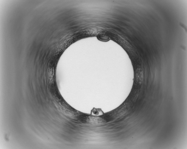X0000101460605200808041043