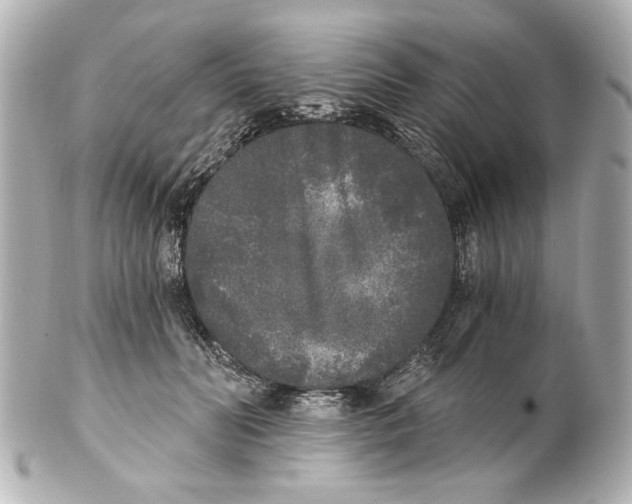 X0000101460606200808041043
