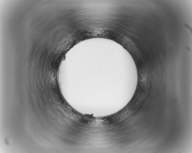 X0000101460607200808041043