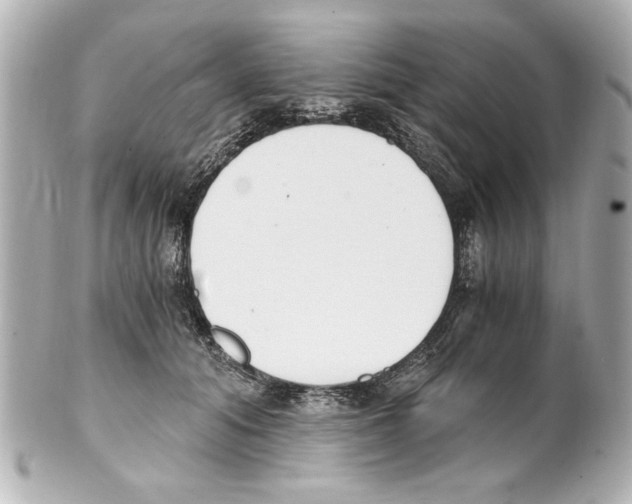 X0000101460608200808041043