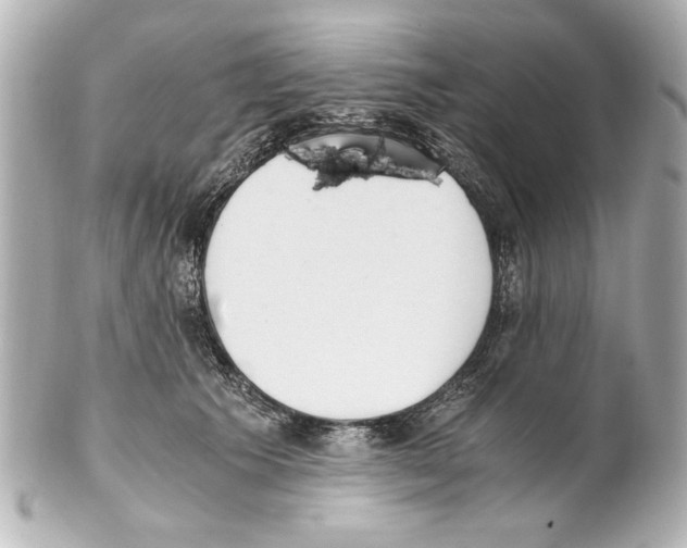 X0000101460609200808041043