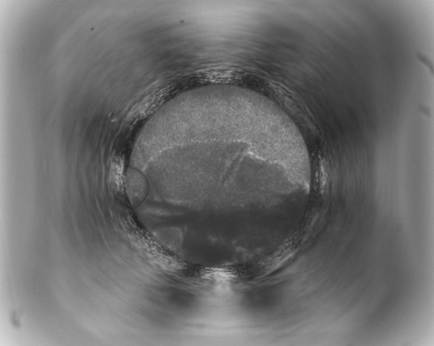 X0000101460610200808041043