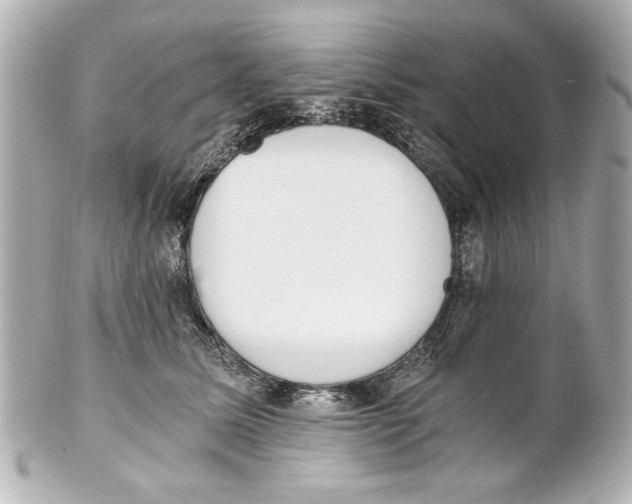 X0000101460611200808041043