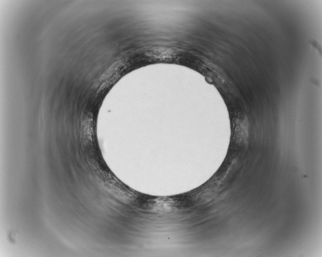X0000101460612200808041043