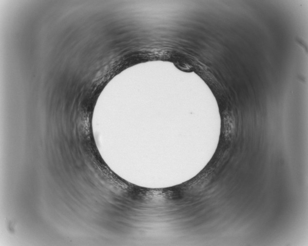 X0000101460613200808041043