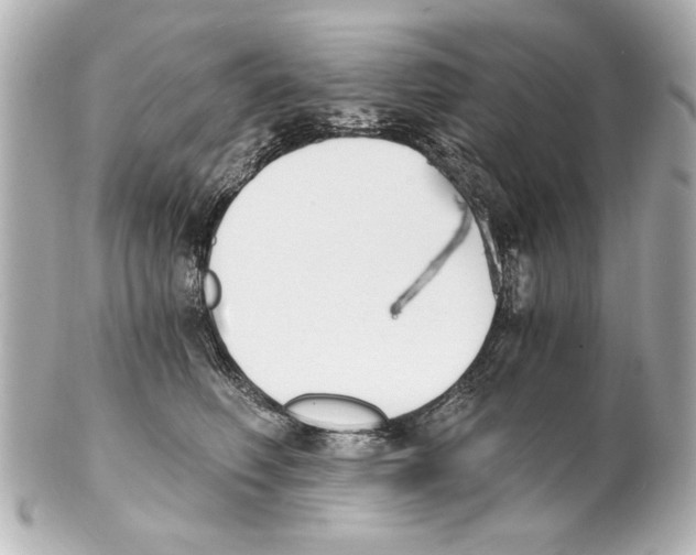 X0000101460614200808041043