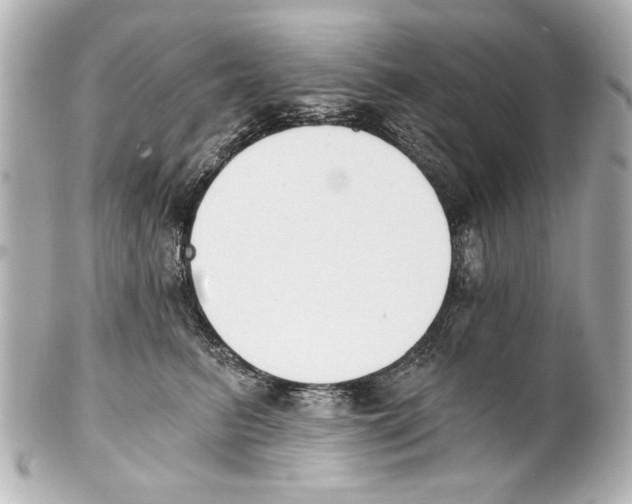 X0000101460615200808041043