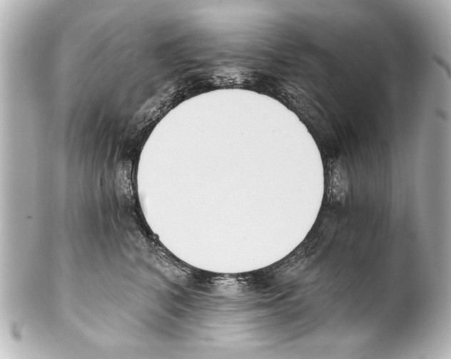 X0000101460616200808041043