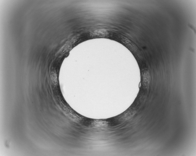 X0000101460617200808041043