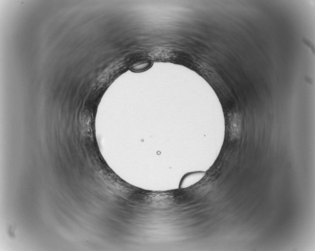 X0000101460619200808041043