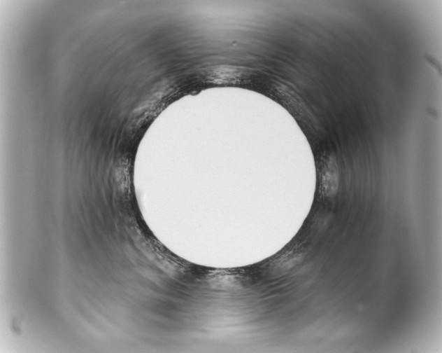X0000101460620200808041043