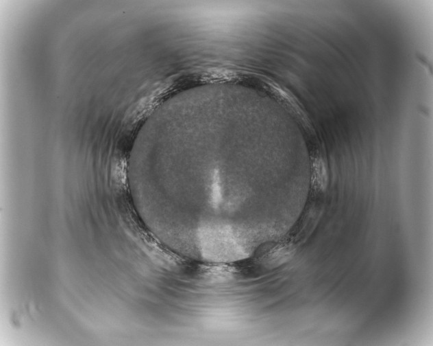 X0000101460621200808041043
