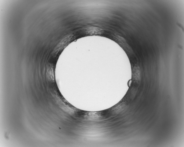 X0000101460622200808041043