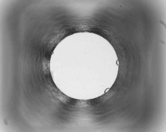 X0000101460624200808041043