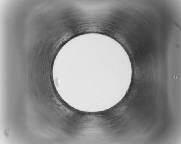 X0000101460625200808041042