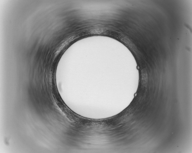 X0000101460626200808041042