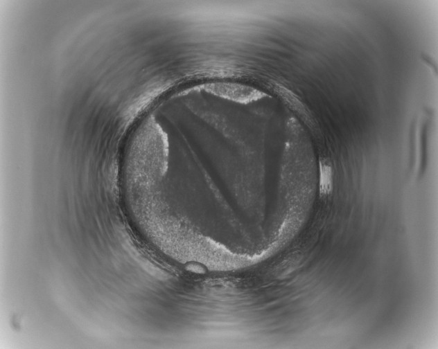 X0000101460627200808041042