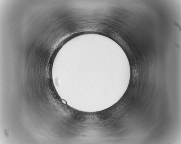 X0000101460628200808041042