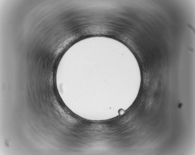 X0000101460629200808041042
